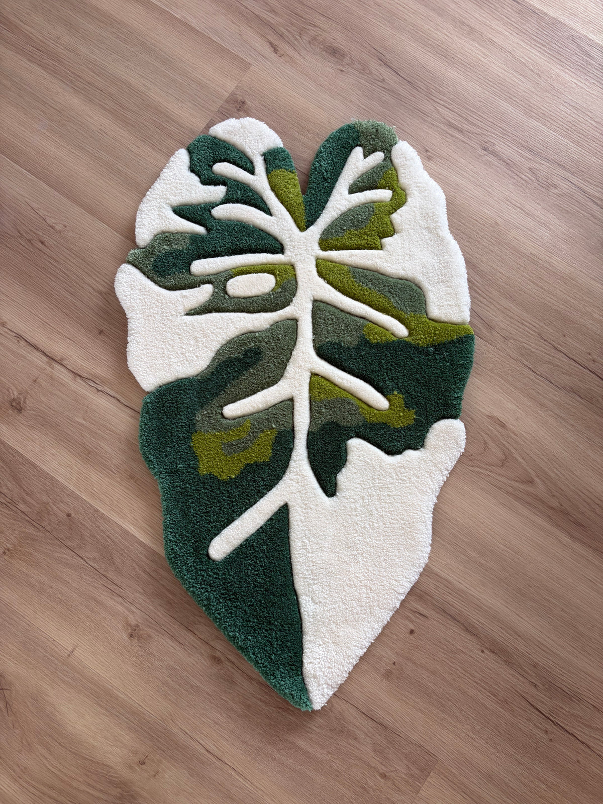 Feuille alocasia 🍃